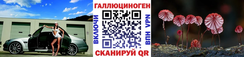 Псилоцибиновые грибы прущие грибы  Купить  Грайворон 